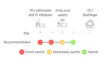 Personalising intravenous to oral antibiotic switch decision making through fair interpretable machine learning